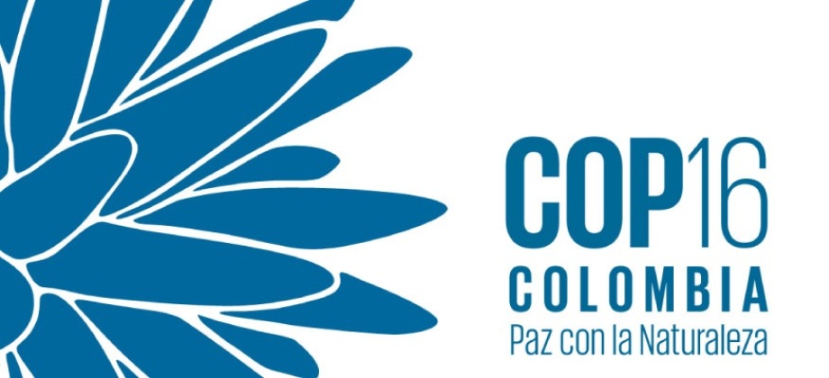 Sigue las actividades y eventos de la COP 16 Colombia: Paz con la Naturaleza